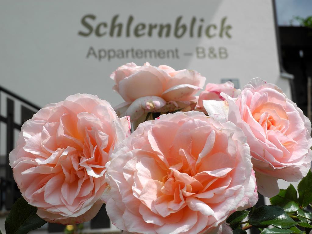 Haus Schlernblick Apartment Nova Ponente Luaran gambar